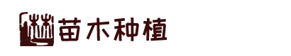 三亿体育 - 首页